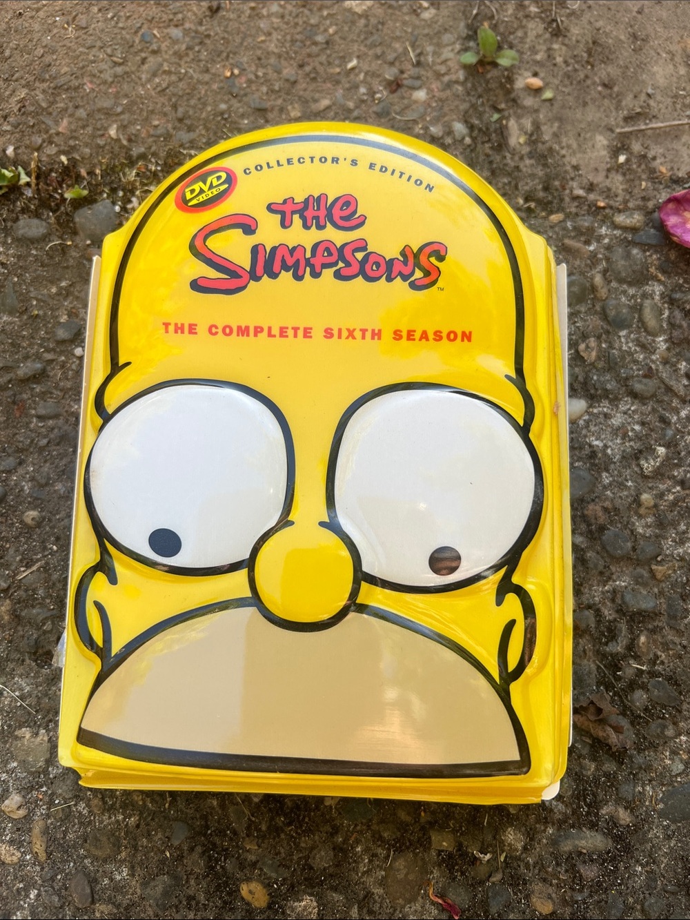 The Simpsons  sixth season